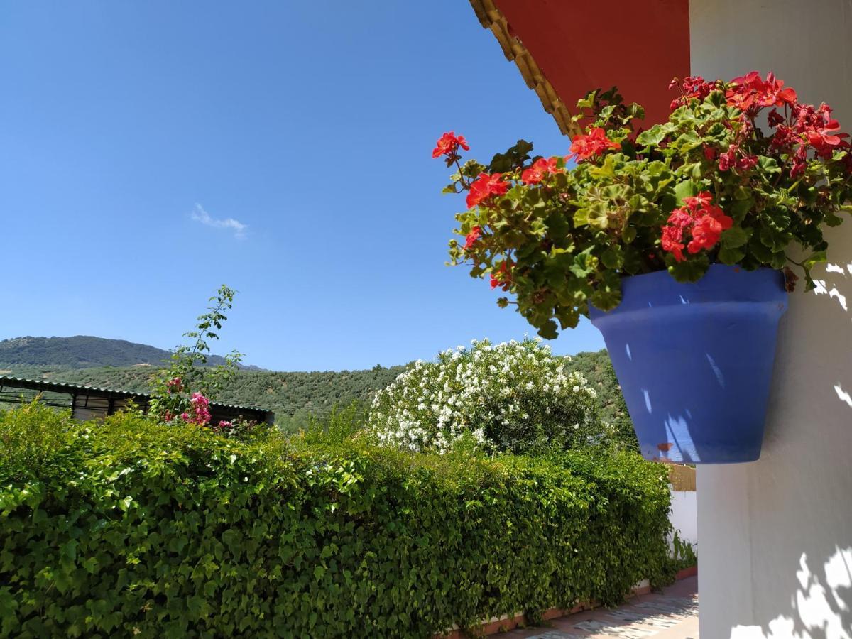 Villa Frasquita Priego de Córdoba Exterior foto